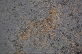 beton-architektoniczny-porowaty-popiel-gold — kopia — kopia.jpg