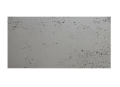 1.plyta-betonowa-VHCT-PB00-120x60.jpg