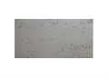 1.plyta-betonowa-VHCT-PB00-100x50.jpg
