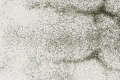 beton_architektoniczny_ultralekki_dakama_stone_z_dodatkiem_kruszywa_ozdobnego_bialy-black-srednioporowaty_3.jpg