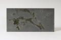 beton architektoniczny Ultra lekki płyta betonowa ultra lekka z kruszywem ozdobnym Black o wymiarze 100 x 50 x 1 cm