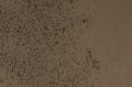 beton-architektoniczny-ultralekki-braz-porowaty-3.jpg