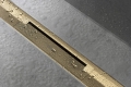 hansgrohe-raindrain-flex-element-zewnetrzny-zloty-optyczny-zblizenie.jpg