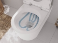 hansgrohe EluPura S Miska wisząca WC 540 bezkołnierzowa AquaFall Flush z deską WC Original S ,SoftClose