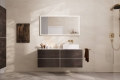 hansgrohe AddStoris wieszak na ręczniki 2-ramienny Brąz Szczotkowany 41770140