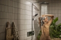 hansgrohe-raindance-alive-s-aranzacja-chrom.jpg