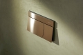 hansgrohe iFrame Element E Przycisk spłukujący Brąz Szczotkowany 66003140