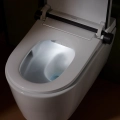 hansgrohe-lavapura-element-s-miska-wiszaca-wc-z-funkcja-bidetu-aquahelix -flush,-smartclean,-hygieneeffect-63021450-aranzacja-podswietlanie.jpg