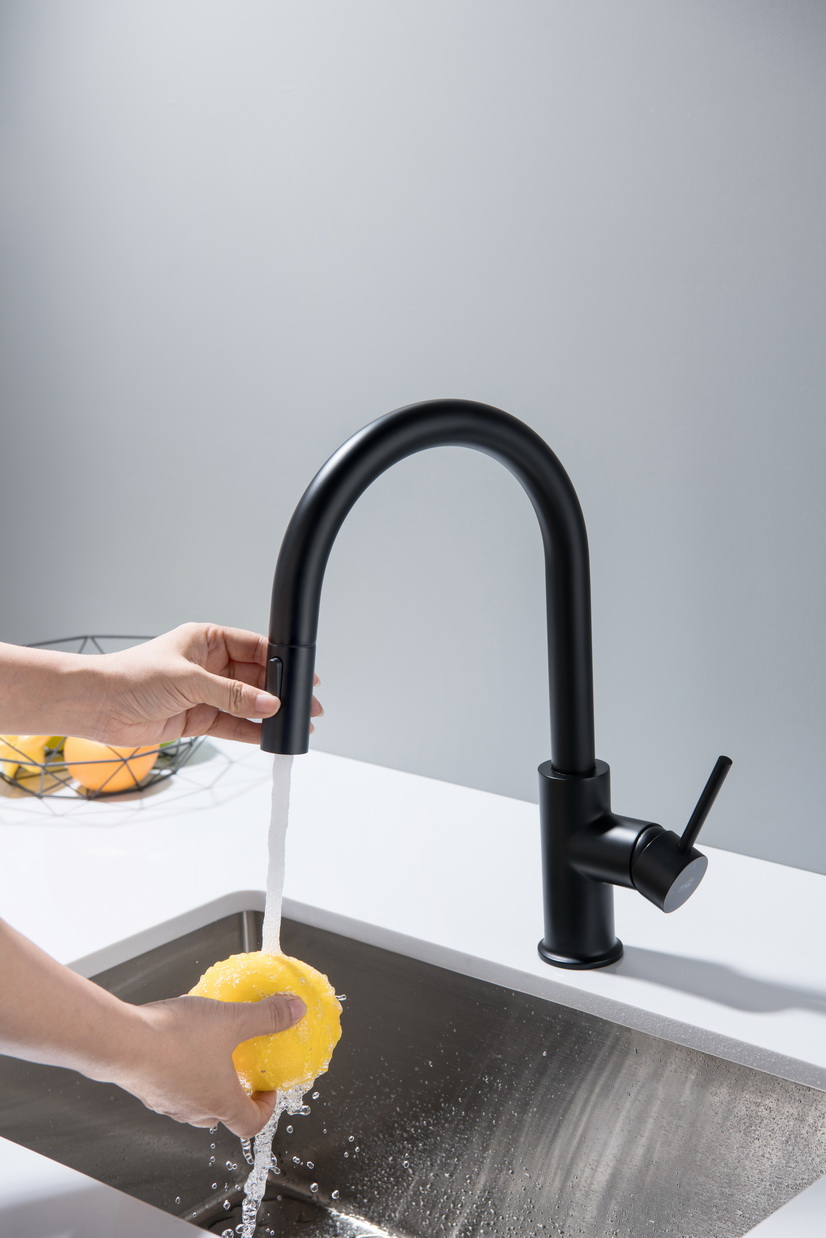 PLAZA Plus bateria kuchenna z wyciąganą wylewką oraz zmianą strumienia czarny mat Blue Water