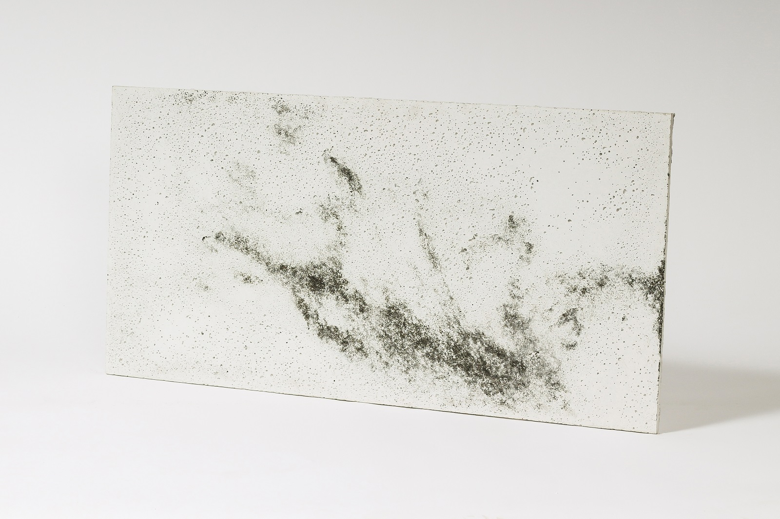 Płyta betonowa o wymiarze 100 x 50 x 1 cm porowata kolor biały z kruszywem Black