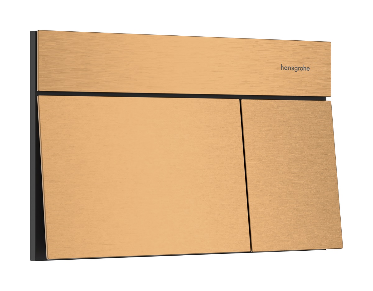 hansgrohe iFrame Element E Przycisk spłukujący Brąz Szczotkowany 66003140